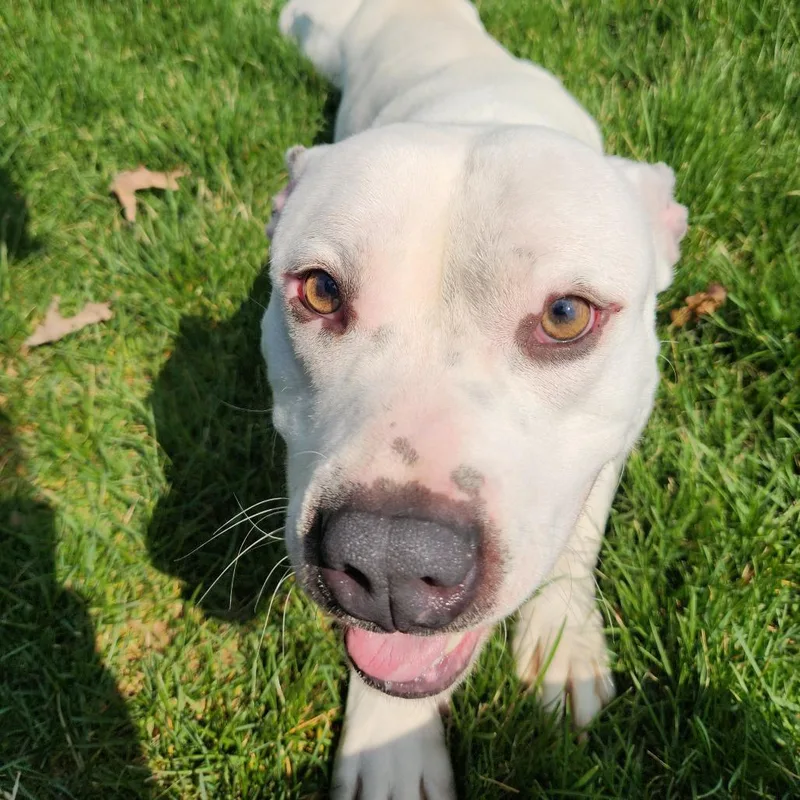 Ron Isley thumbnail 5