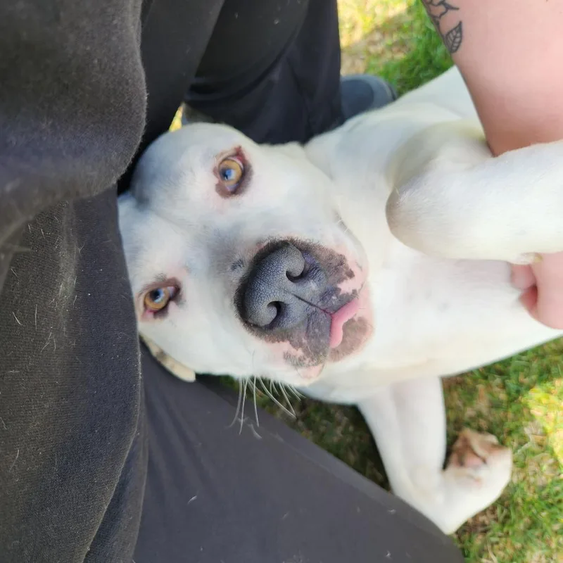 Ron Isley thumbnail 6