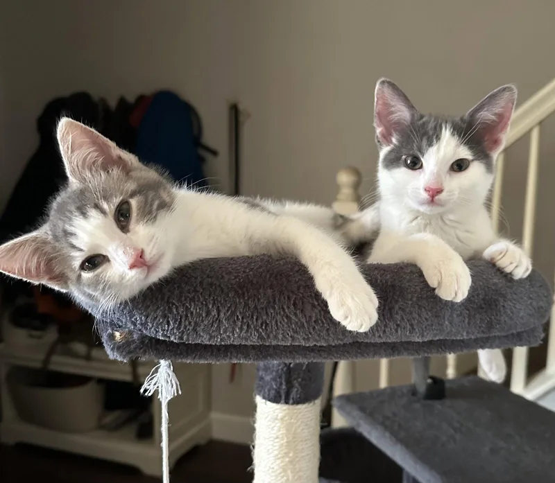 Maeby And Artie thumbnail 2