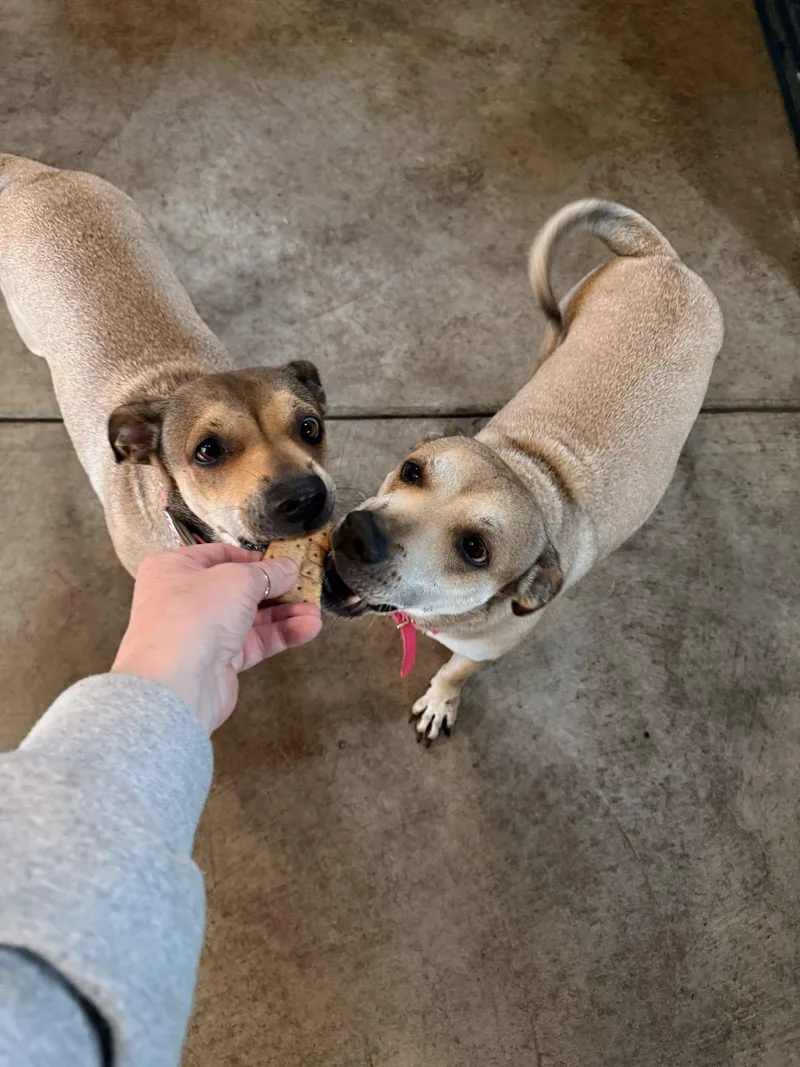 Kylee And Nala thumbnail 2