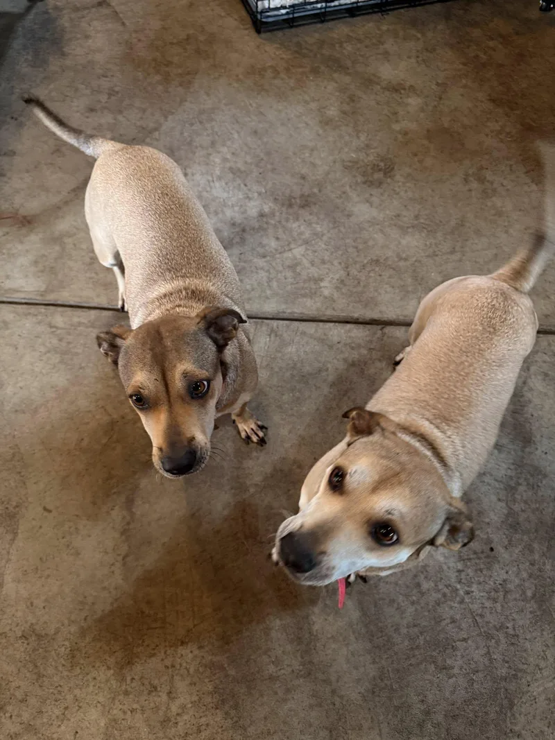 Kylee And Nala thumbnail 4