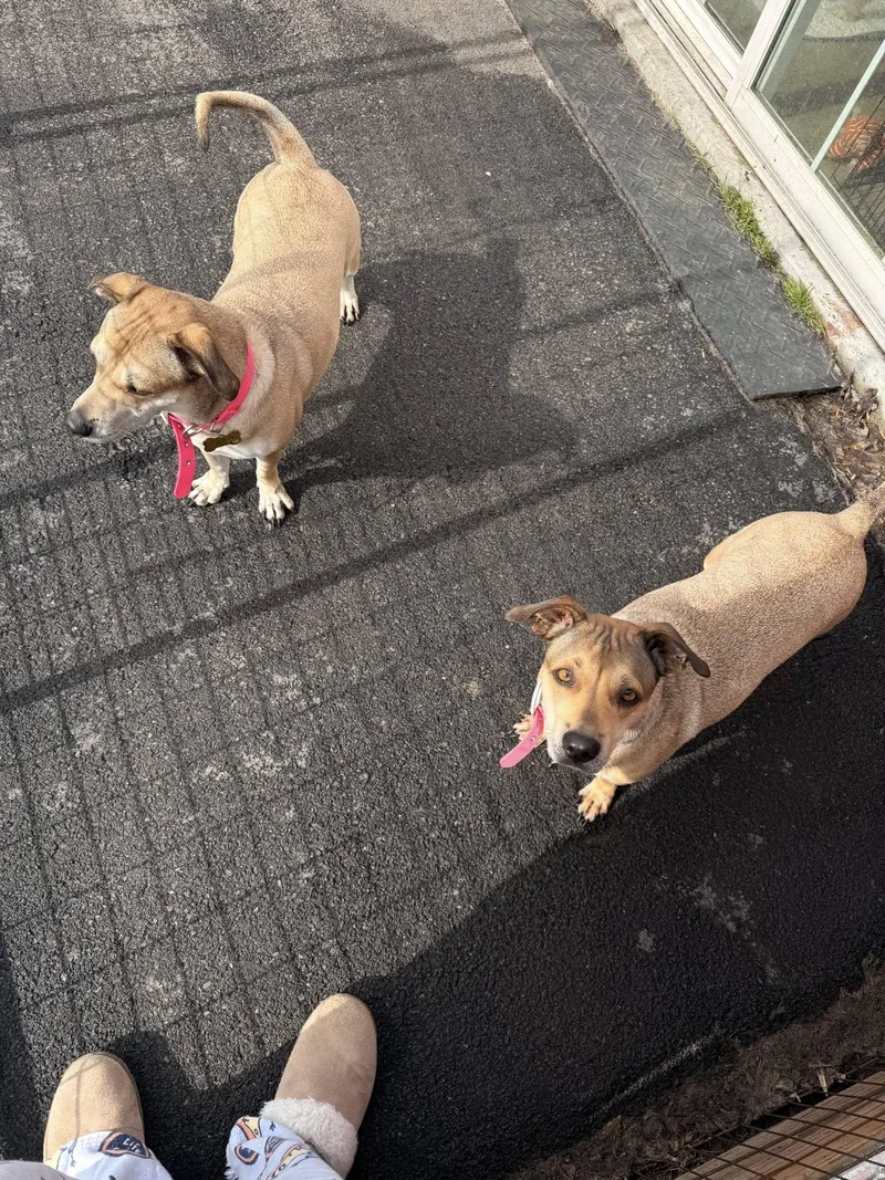 Kylee And Nala thumbnail 6