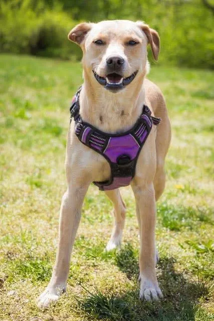 Margot Robbie thumbnail 2