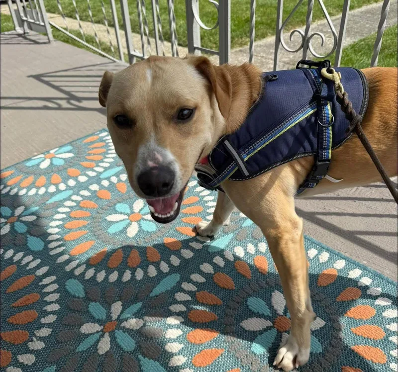 Margot Robbie thumbnail 3