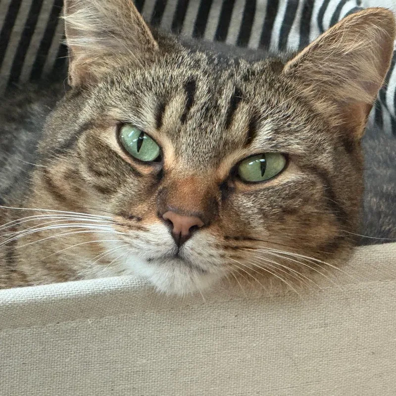 Ernie thumbnail 3