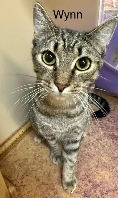 Wynn  Year Old thumbnail 2