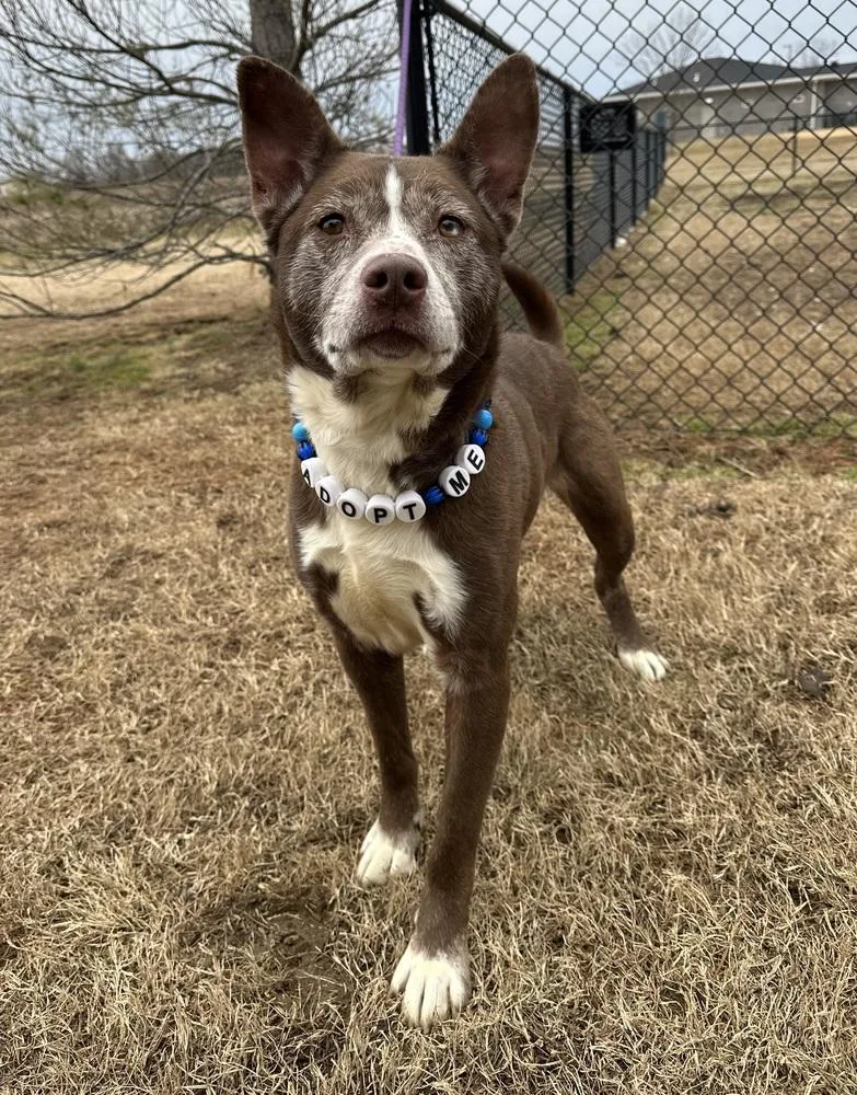 Tarrence thumbnail 2