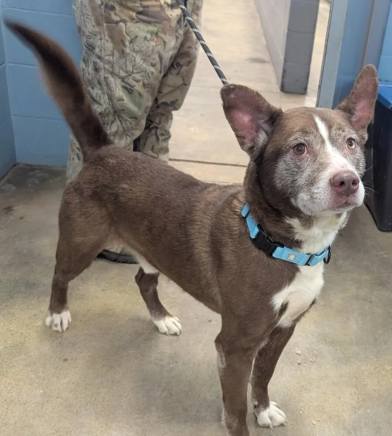 Tarrence thumbnail 3