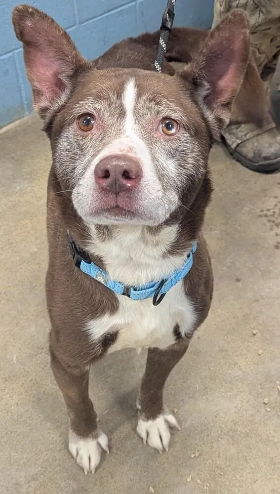 Tarrence thumbnail 4