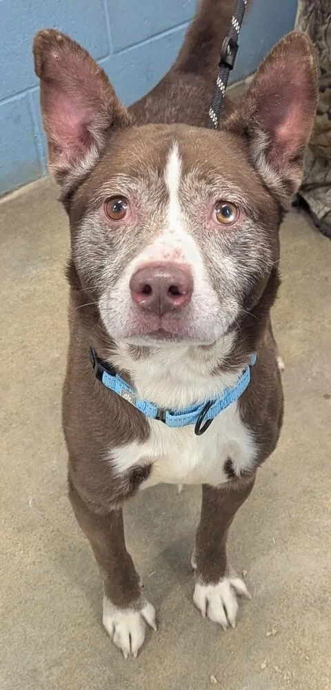 Tarrence thumbnail 5