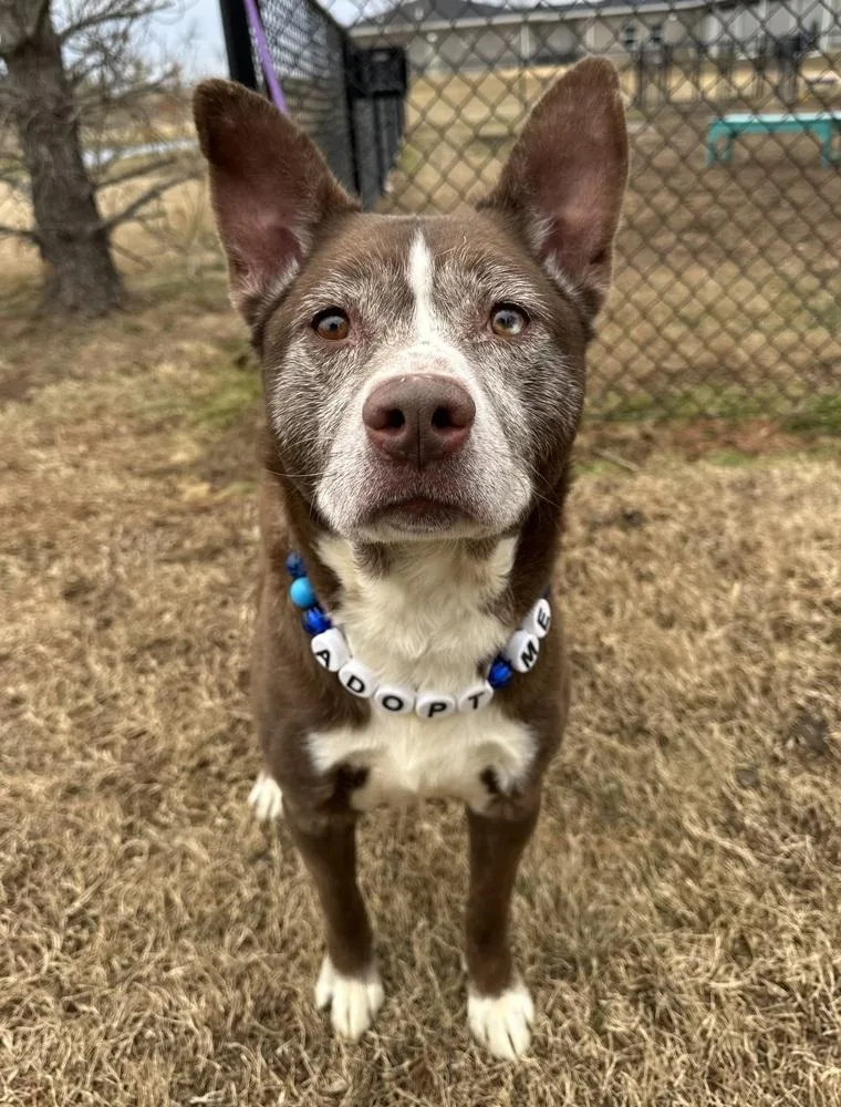 Tarrence thumbnail 6