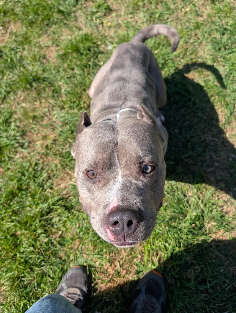 Quinny A thumbnail 2