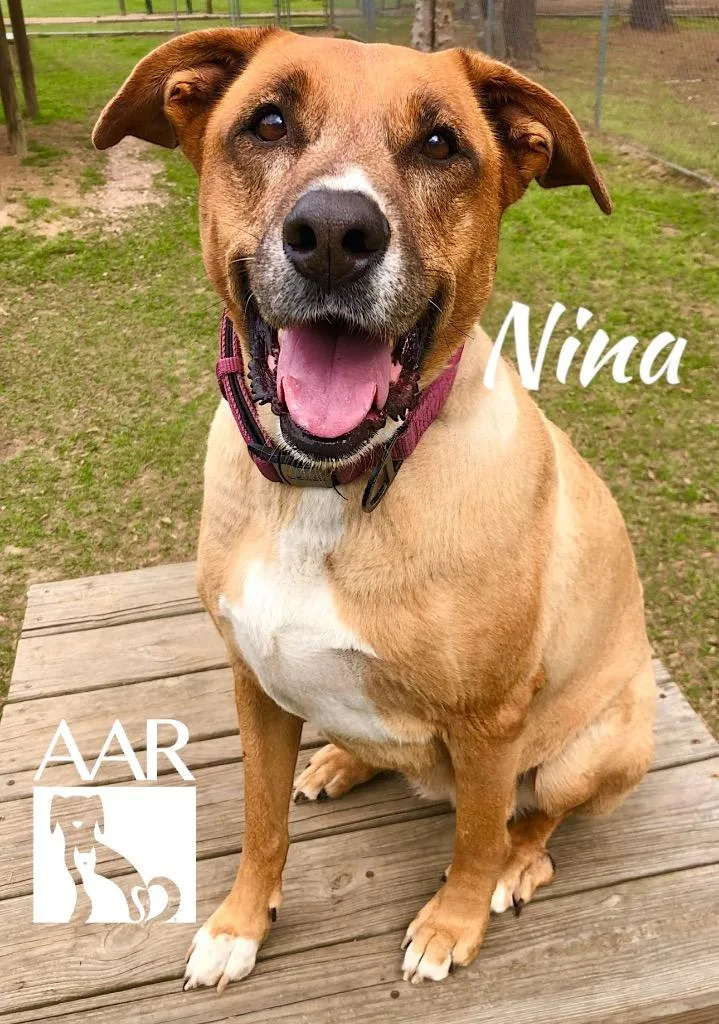 Nina thumbnail 2