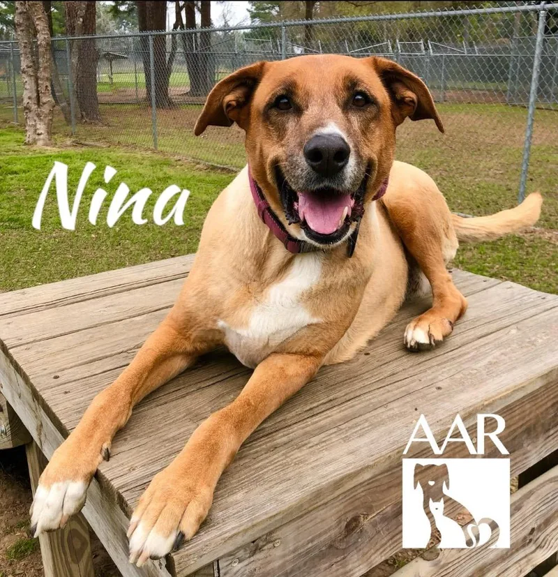 Nina thumbnail 3
