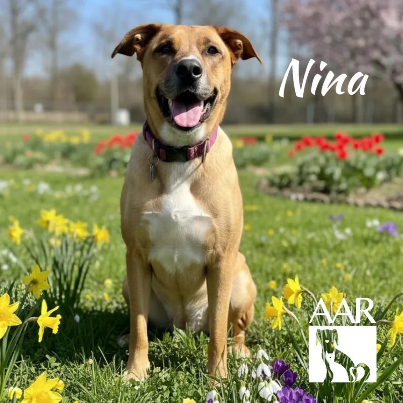 Nina thumbnail 4