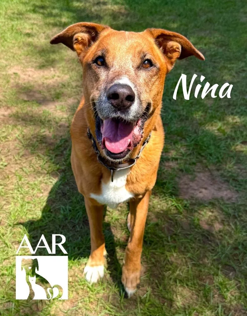 Nina thumbnail 5