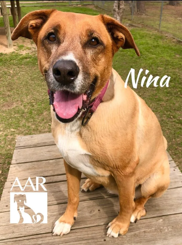 Nina thumbnail 6