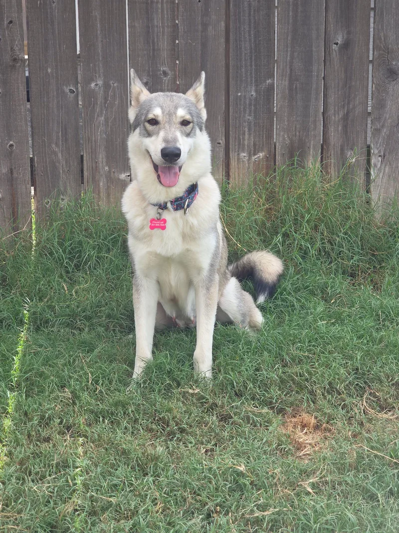 Sasha thumbnail 5
