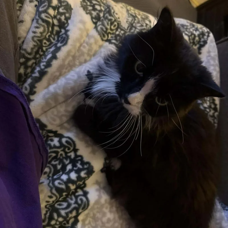 Isabelle thumbnail 5