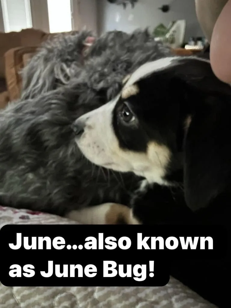 June thumbnail 4