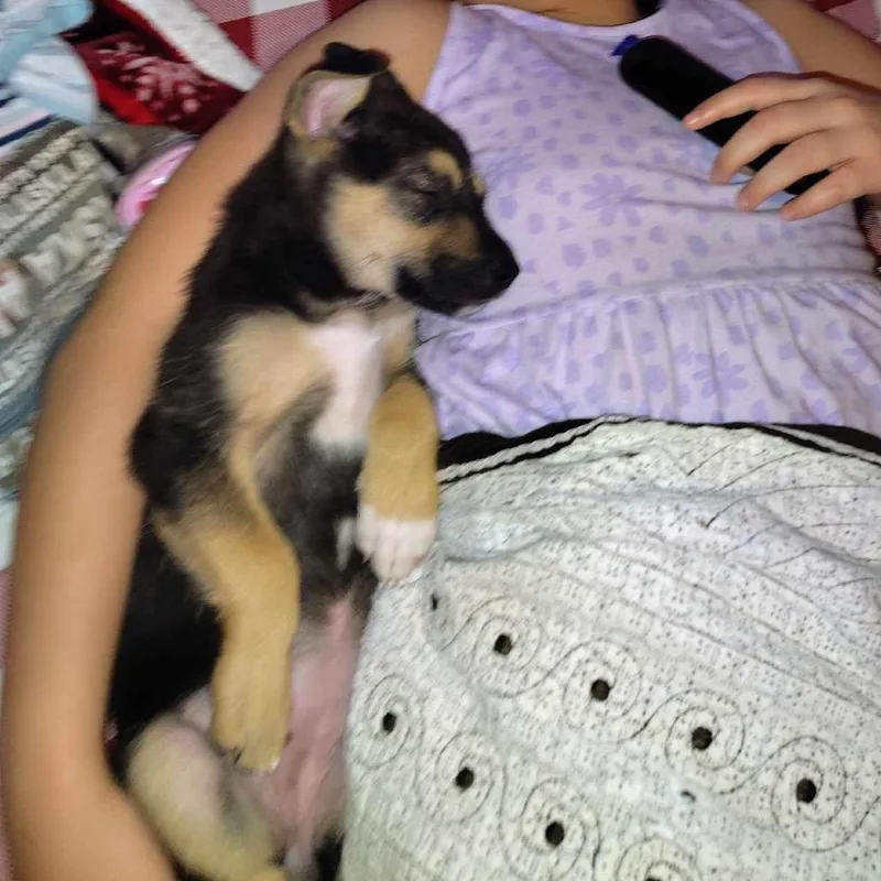 Rylie thumbnail 2