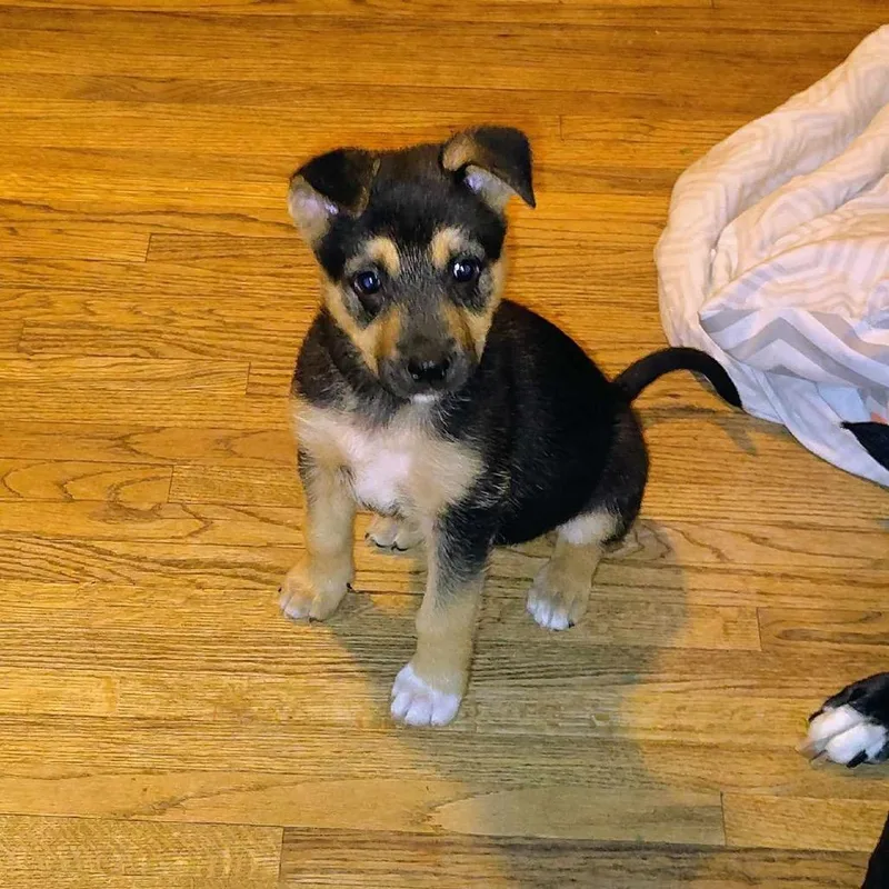Rylie thumbnail 5