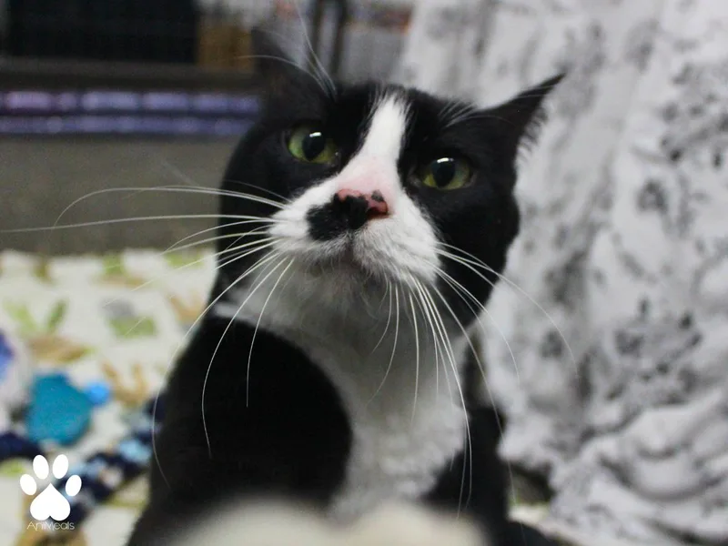 Minnie thumbnail 2