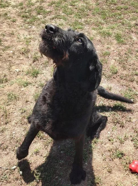 Charlie
