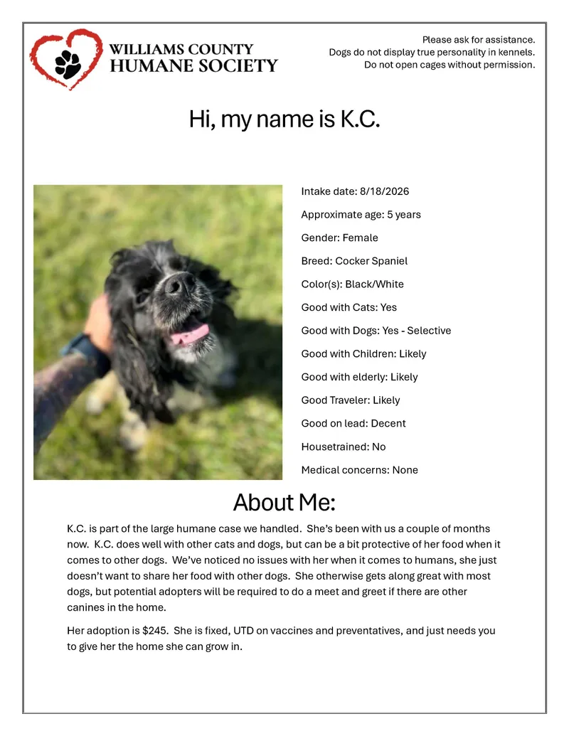 K.c. thumbnail 2