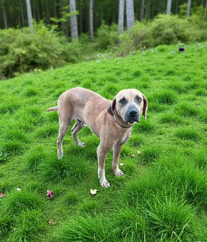 Clay Griffin thumbnail 3