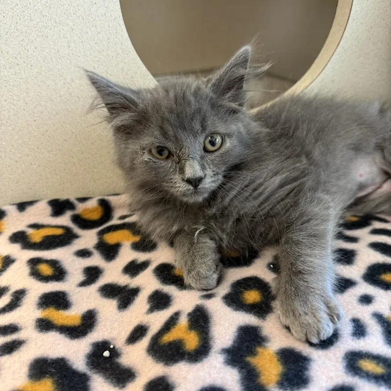 Concrete thumbnail 2