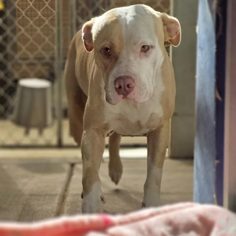 Buster thumbnail 2