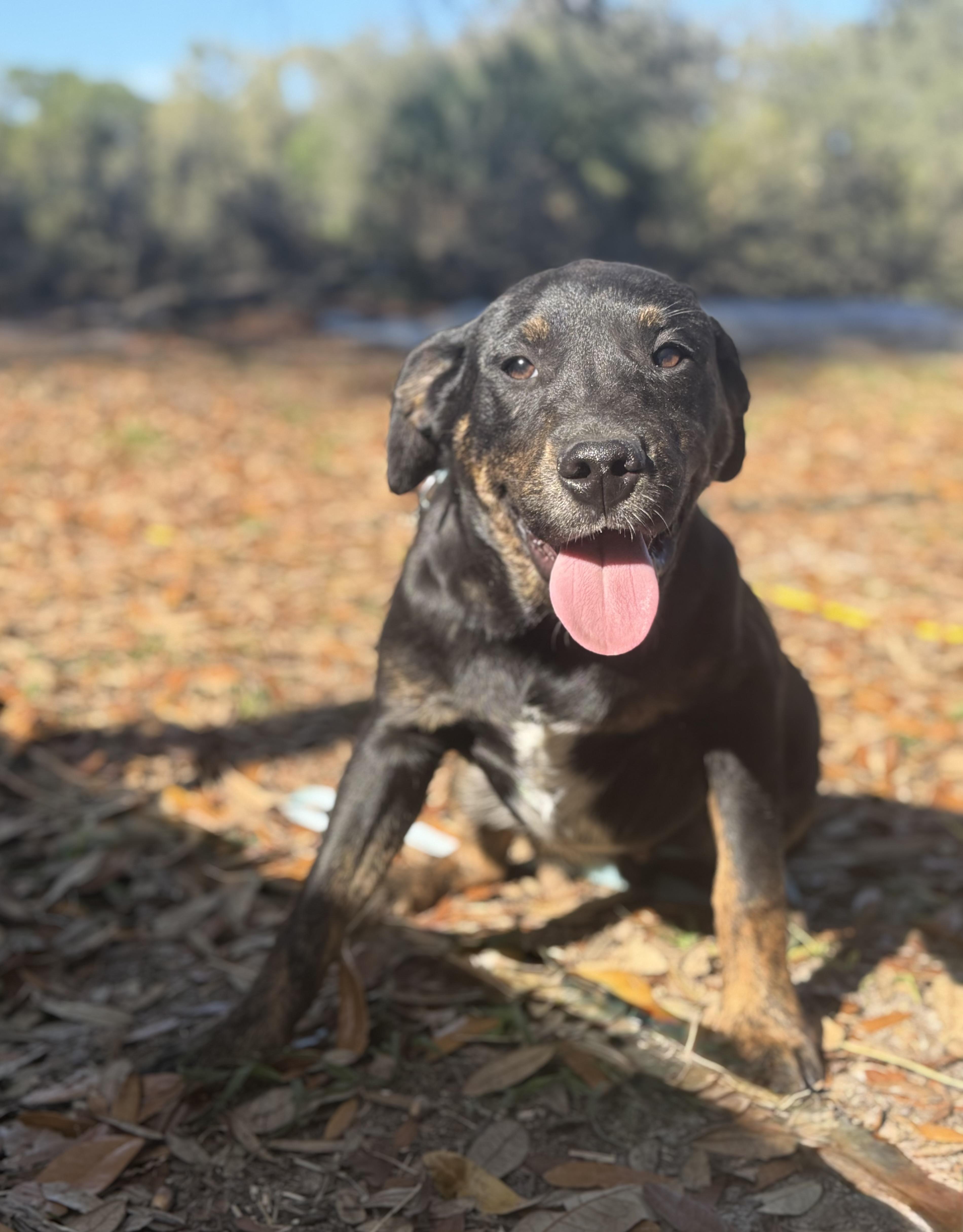 Sammy Kershaw thumbnail 2