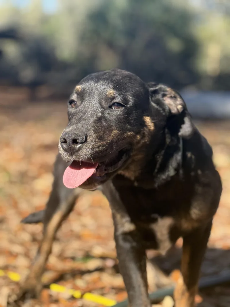 Sammy Kershaw thumbnail 3