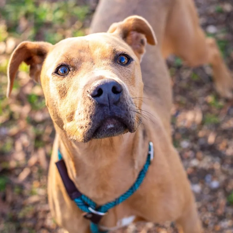 Strawberry Jelly thumbnail 3