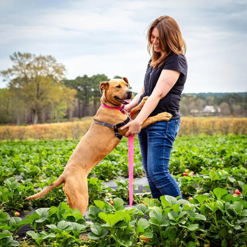 Strawberry Jelly thumbnail 5