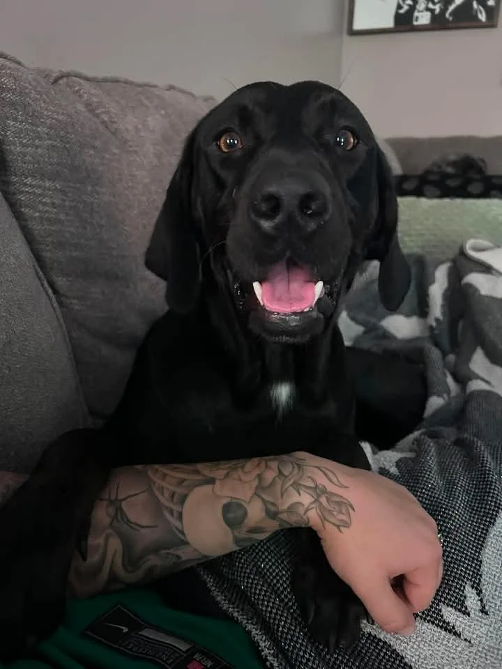 Boozer