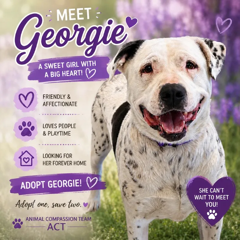 Georgie  Gertrude thumbnail 5