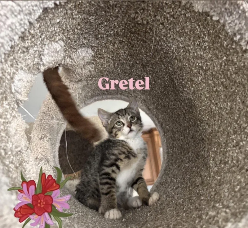 Gretel thumbnail 2