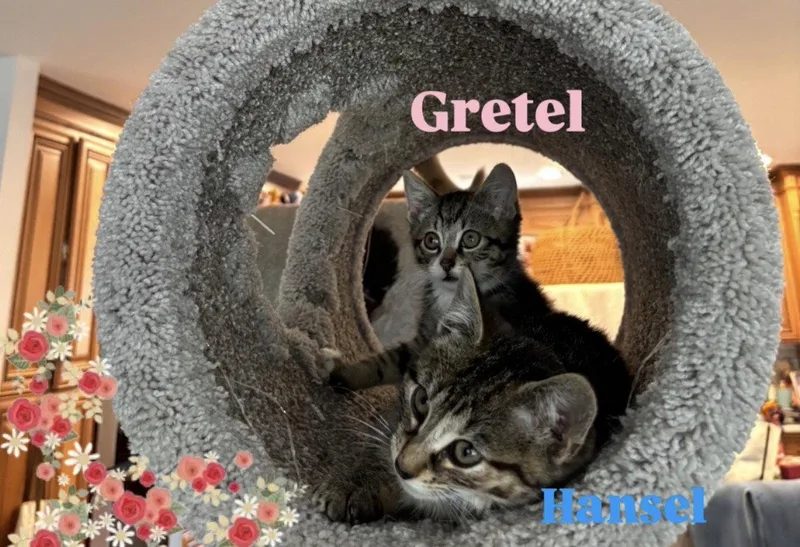 Gretel thumbnail 3