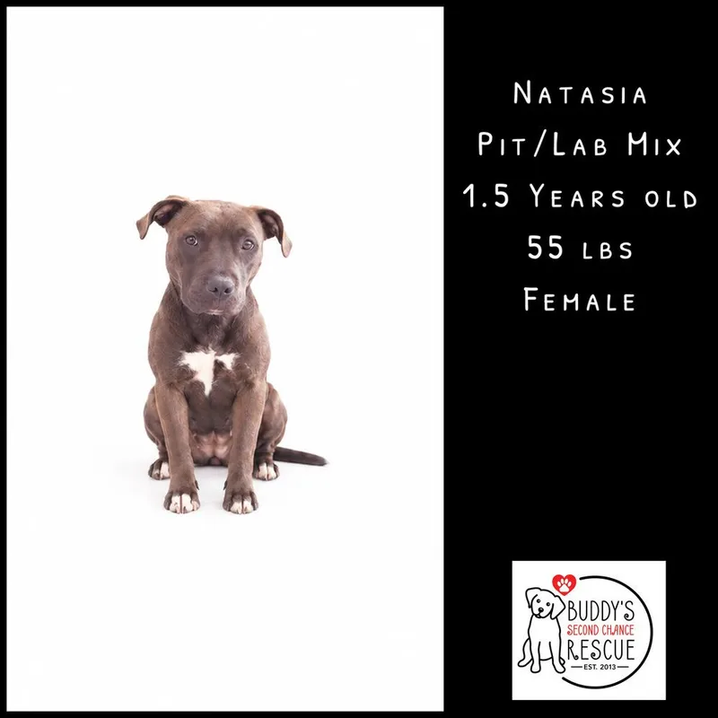 Natasia thumbnail 2