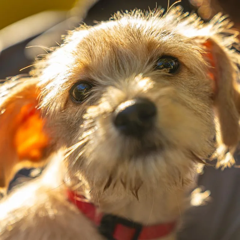 Sarah Lynn thumbnail 2