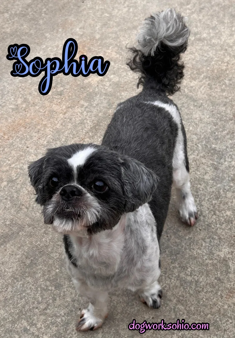 Sophia thumbnail 2