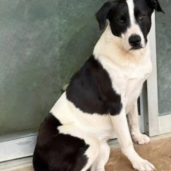 Charlotte thumbnail 3