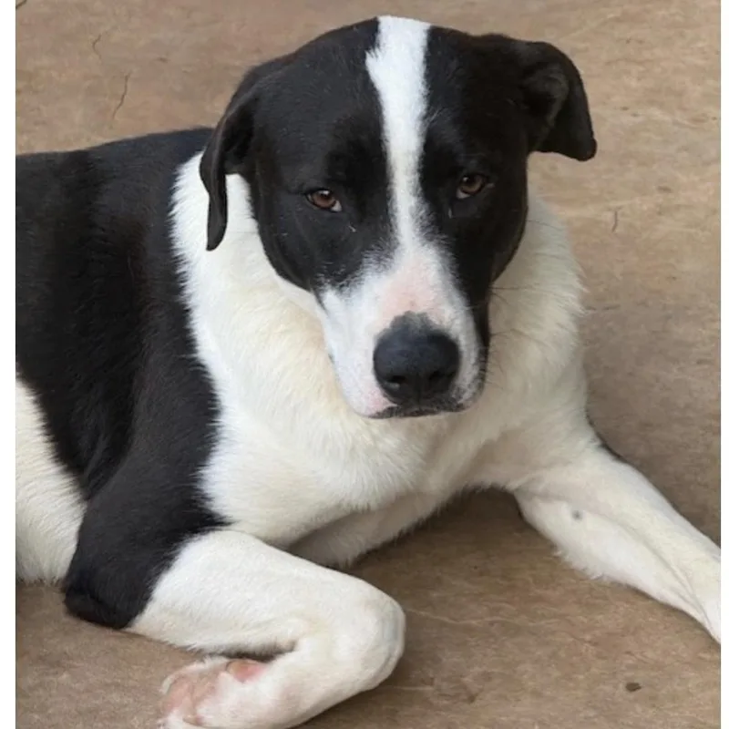 Charlotte thumbnail 4