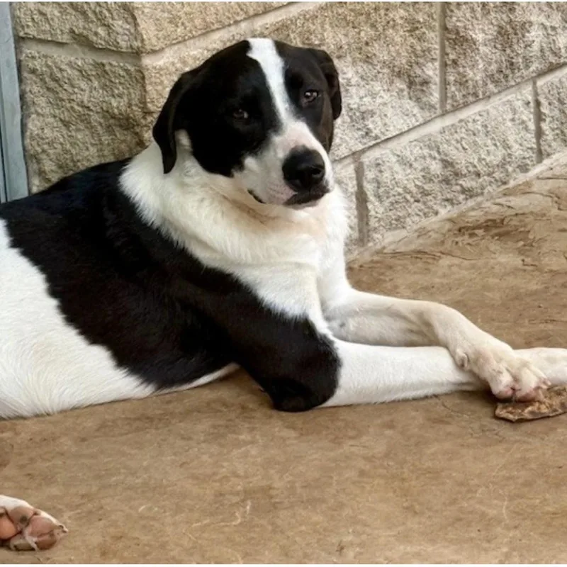 Charlotte thumbnail 6