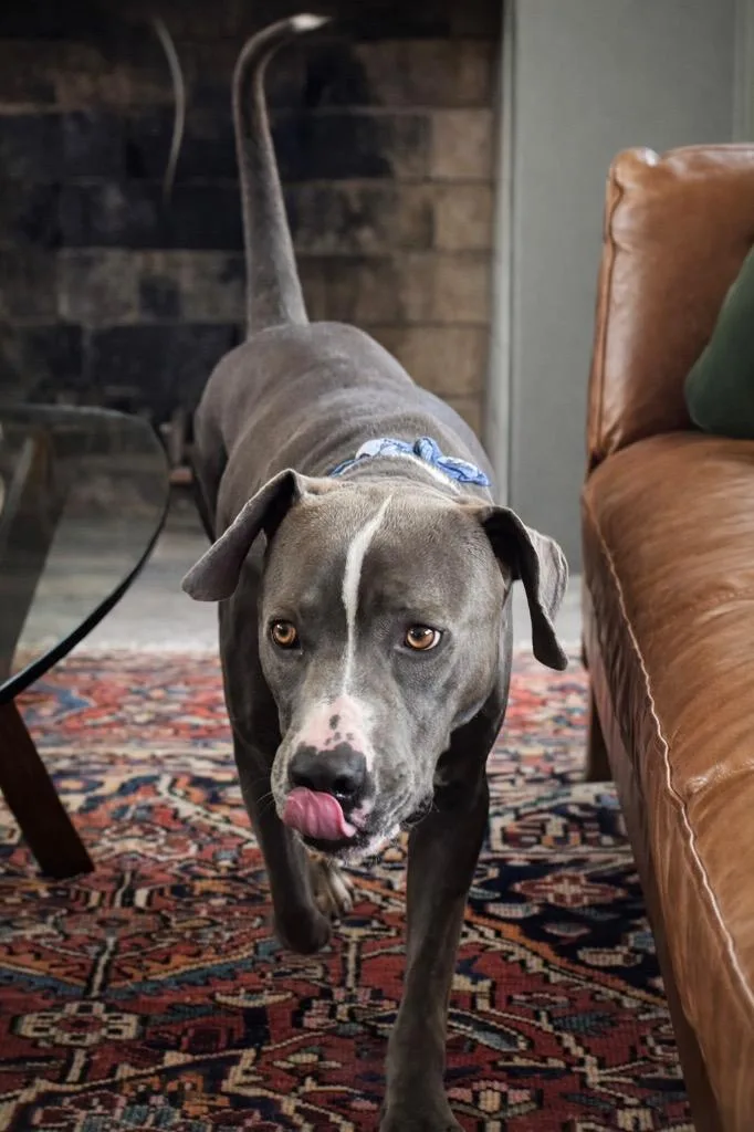 Rudy Bama thumbnail 4