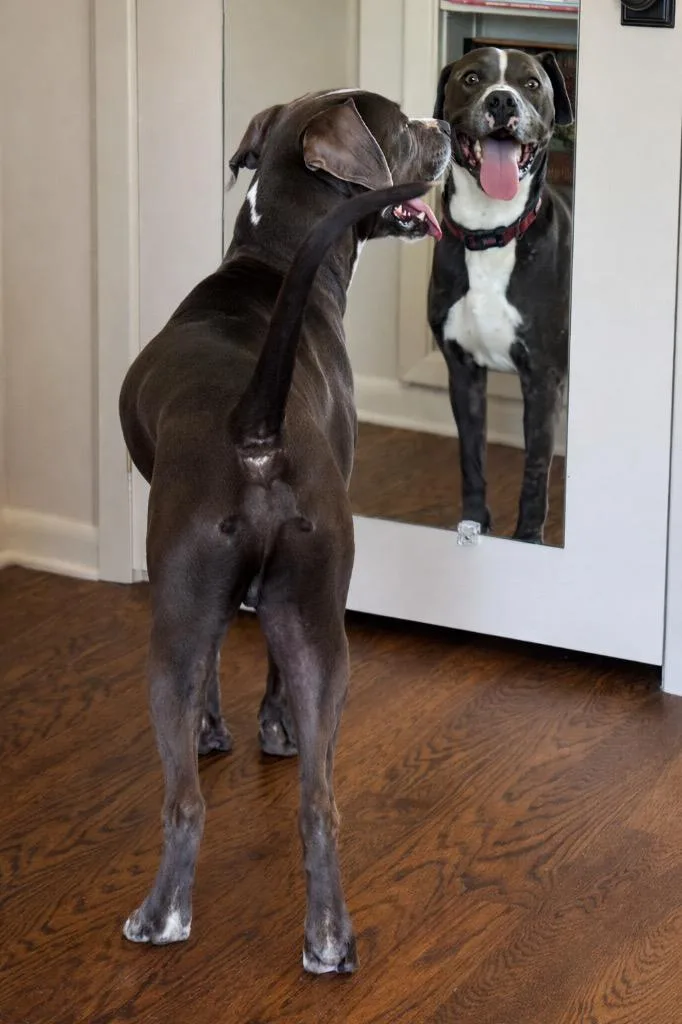 Rudy Bama thumbnail 5