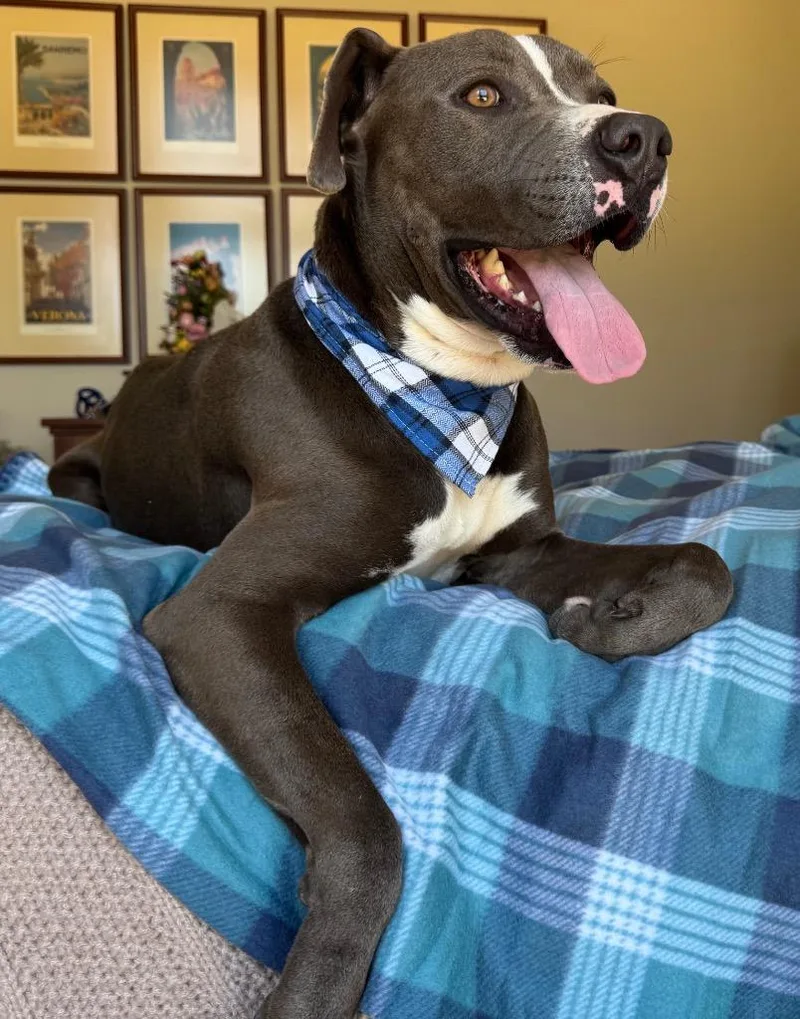 Rudy Bama thumbnail 6