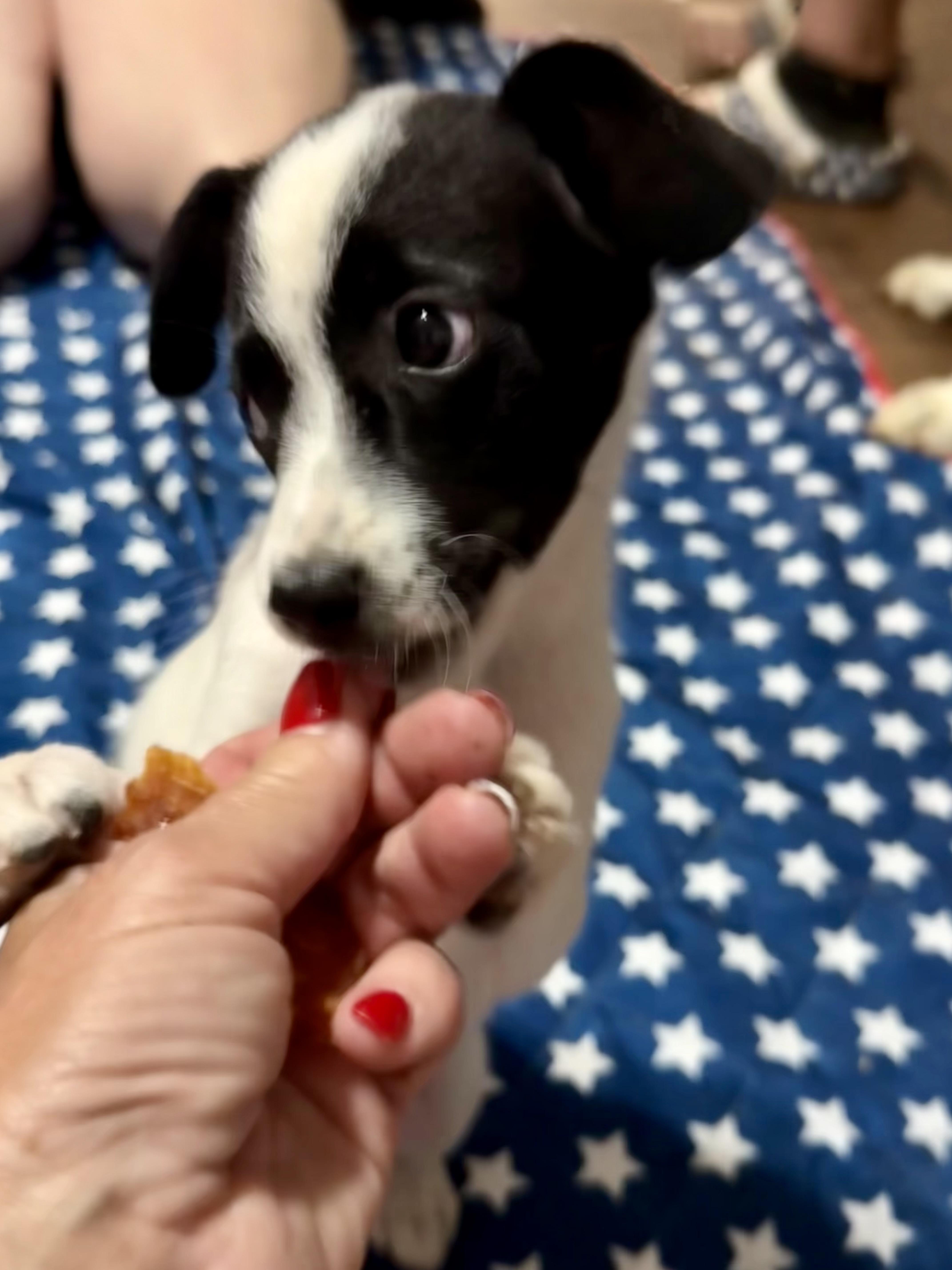 Morgan thumbnail 5